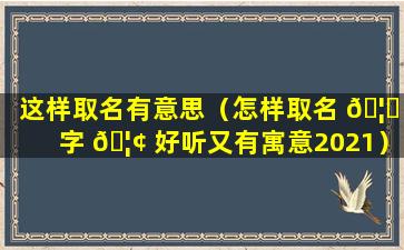 这样取名有意思（怎样取名 🦈 字 🦢 好听又有寓意2021）